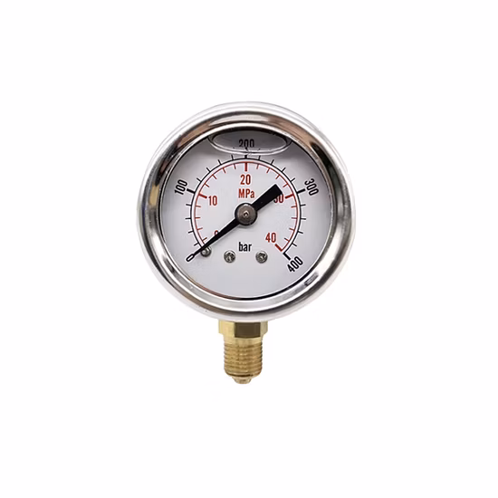 Stainless Steel Liquid Filled Brass Movement OEM Logo Pressure Gauge Manometer