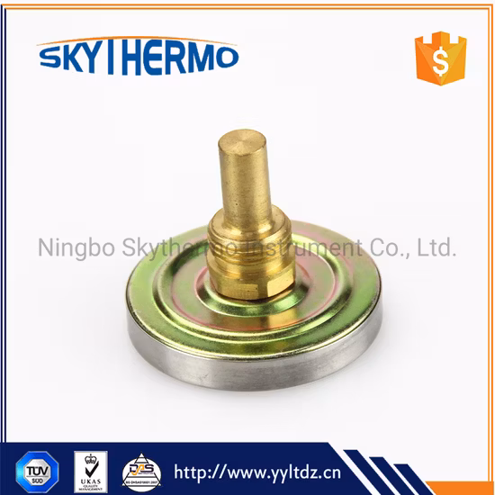 Water Testing High Temperature Temperature Controller Boiler Bimetal Thermometer